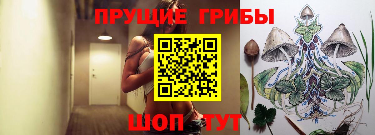Галлюциногенные грибы Cubensis  Вход с VPN  Полысаево  Галлюциногенные грибы Psilocybine cubensis 